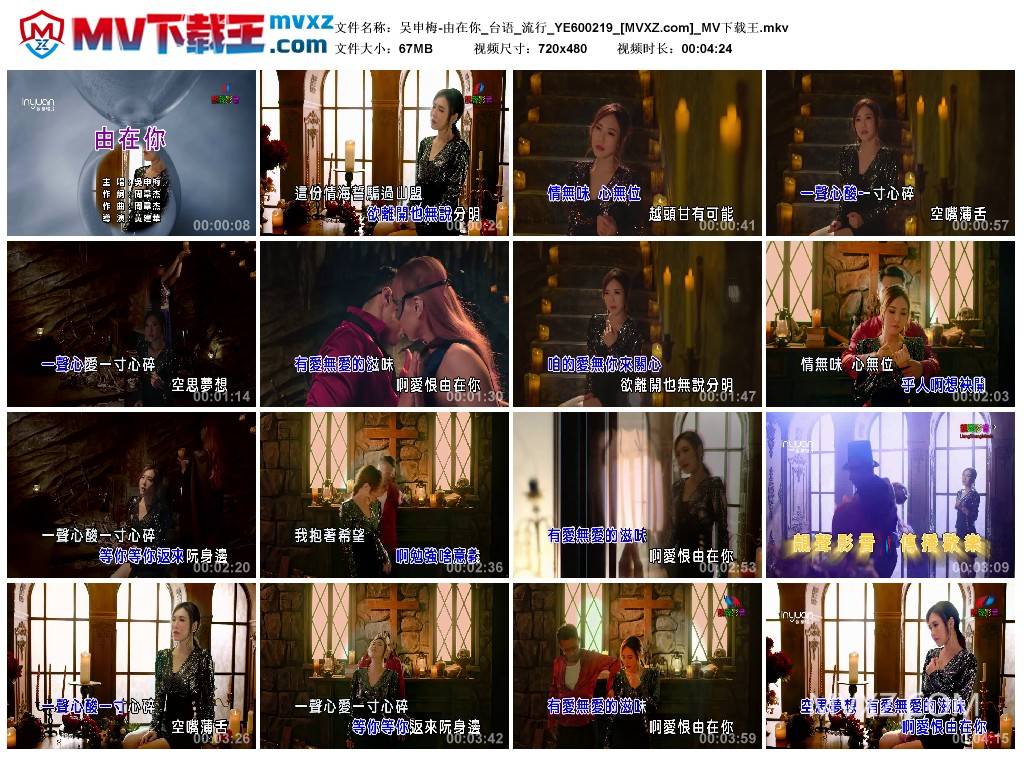 吴申梅-由在你_台语_流行_YE600219